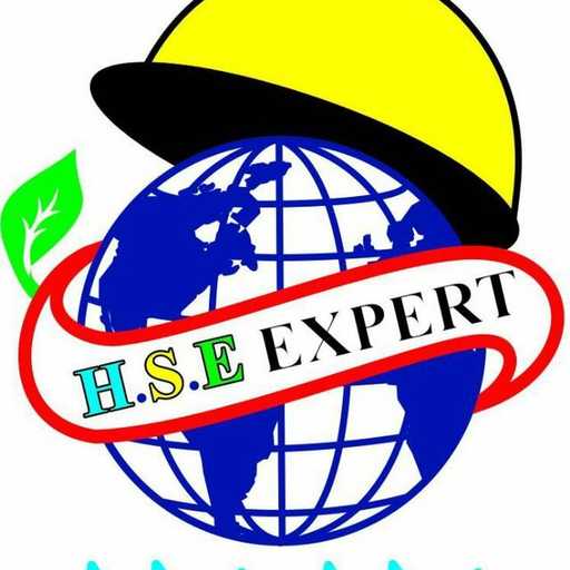 HSE Expert